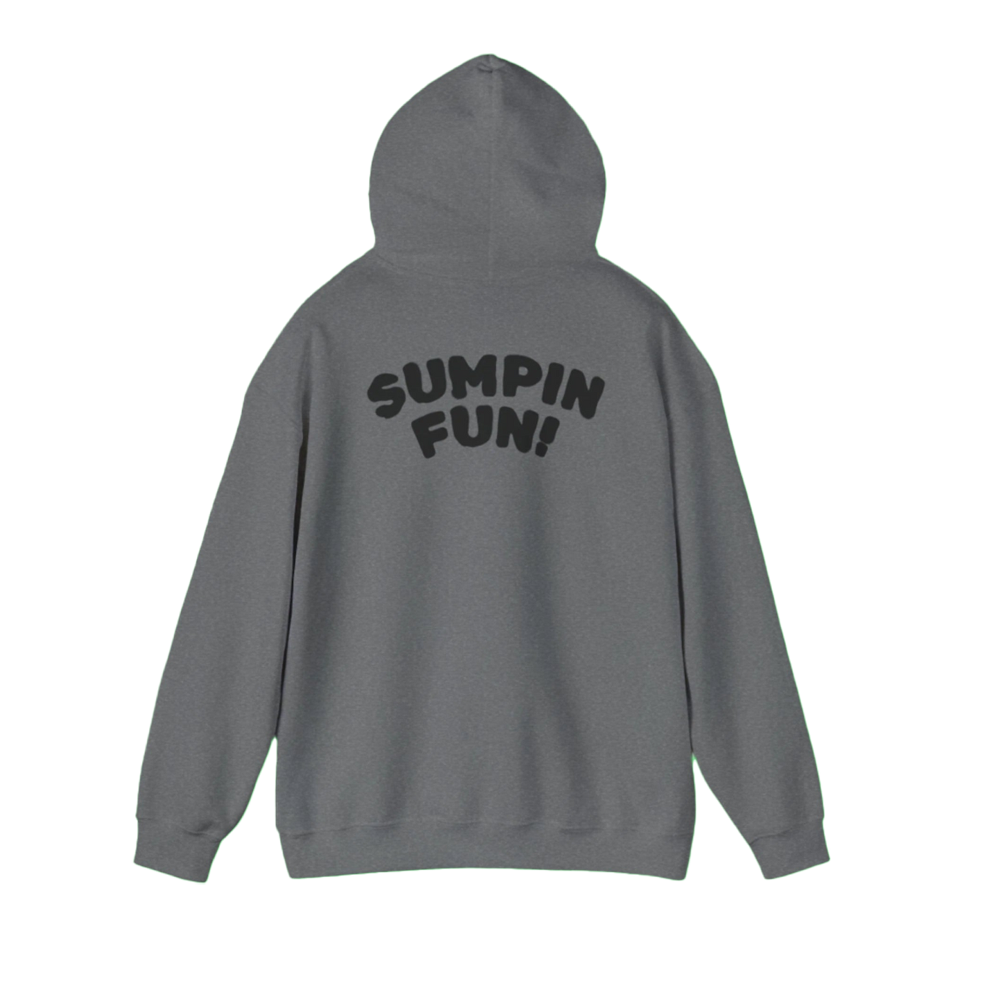 RAY RAY SUMPIN FUN! HOODIE