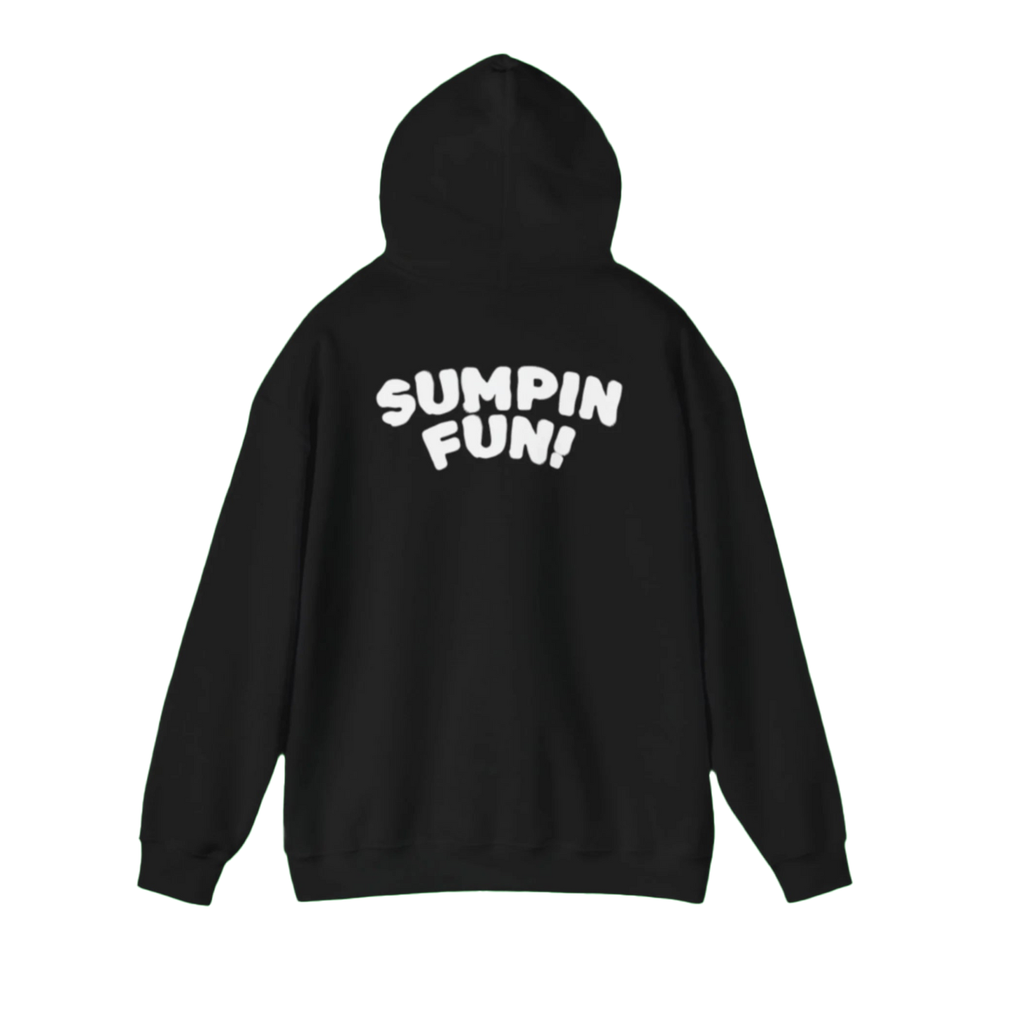 RAY RAY SUMPIN FUN! HOODIE