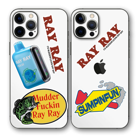 RAY RAY STICKER SHEET.